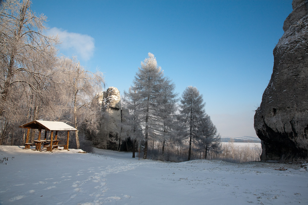 Ogrodzieniec